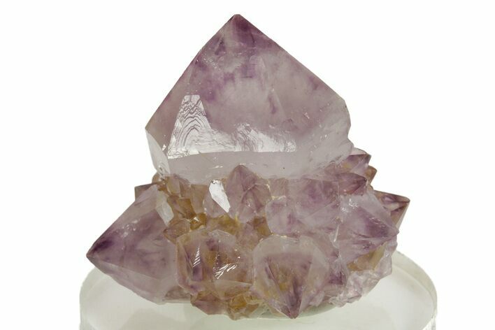 Sparkling Cactus Amethyst Crystal Cluster - South Africa #364601